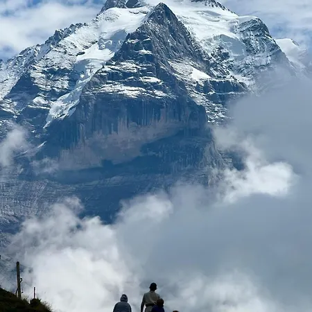 Renovated Traditional In Car-free *