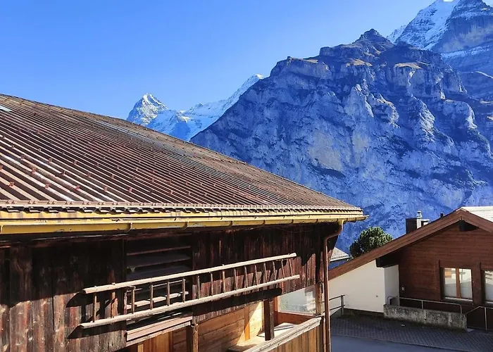 Renovated Traditional In Car-free *