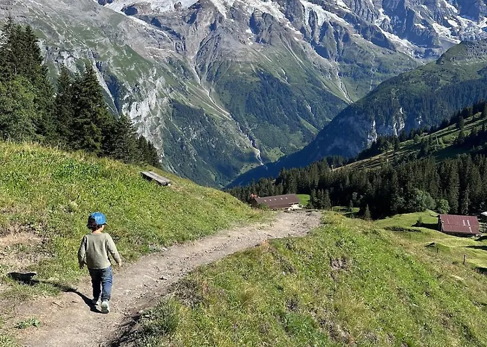 Renovated Traditional In Car-free