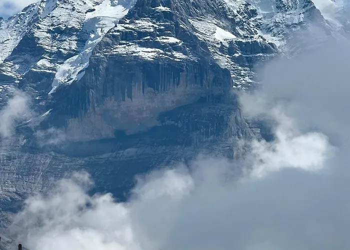 Renovated Traditional In Car-free *